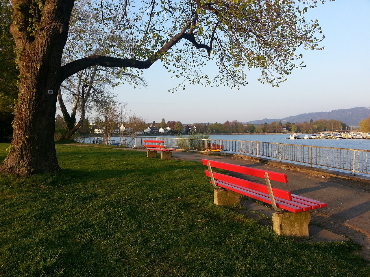 作一次学习 作一次学习