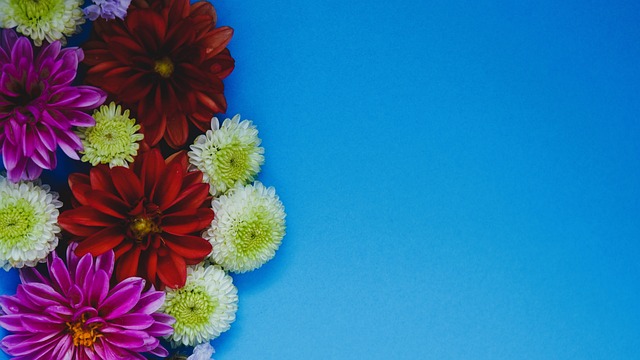 可能成为热 可能成为热