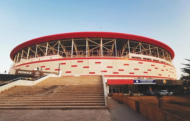 的绝佳场所 的绝佳场所