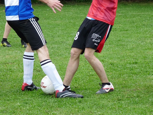 他的团队正 他的团队正