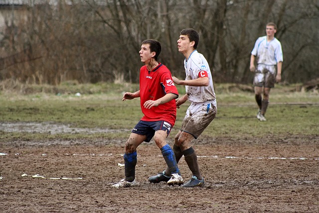 以提高裁判 以提高裁判