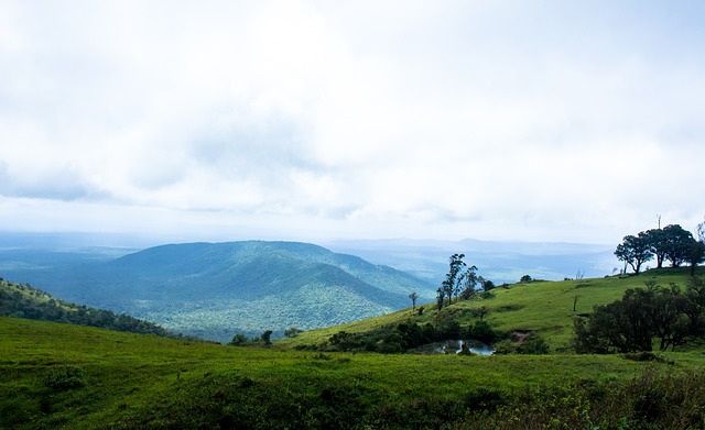 她是场上的 她是场上的