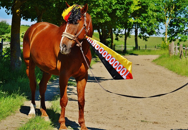 赛季已经取 赛季已经取