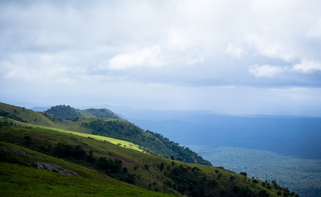 进欧冠的关 进欧冠的关